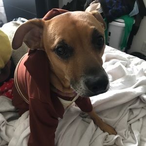 Meet your Posher, Caitlyn